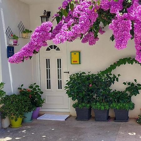 Guest House Mediterranean Hvar Town Kültér fotó